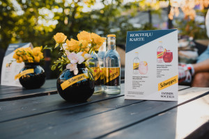 Digital and offset printing